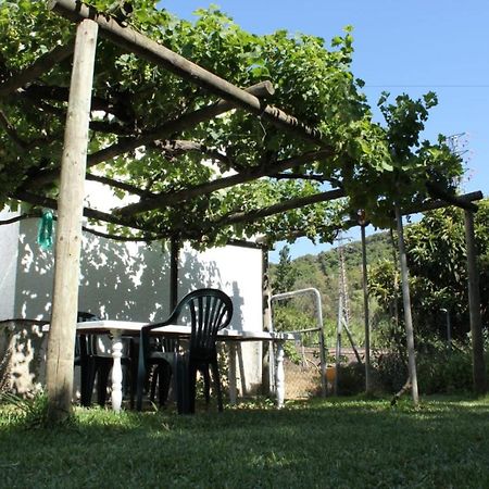カディス Casa La Macetaヴィラ エクステリア 写真