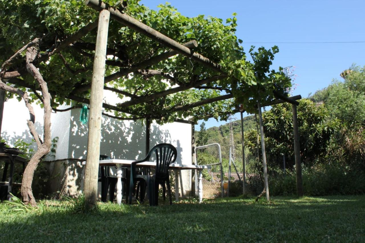 カディス Casa La Macetaヴィラ エクステリア 写真
