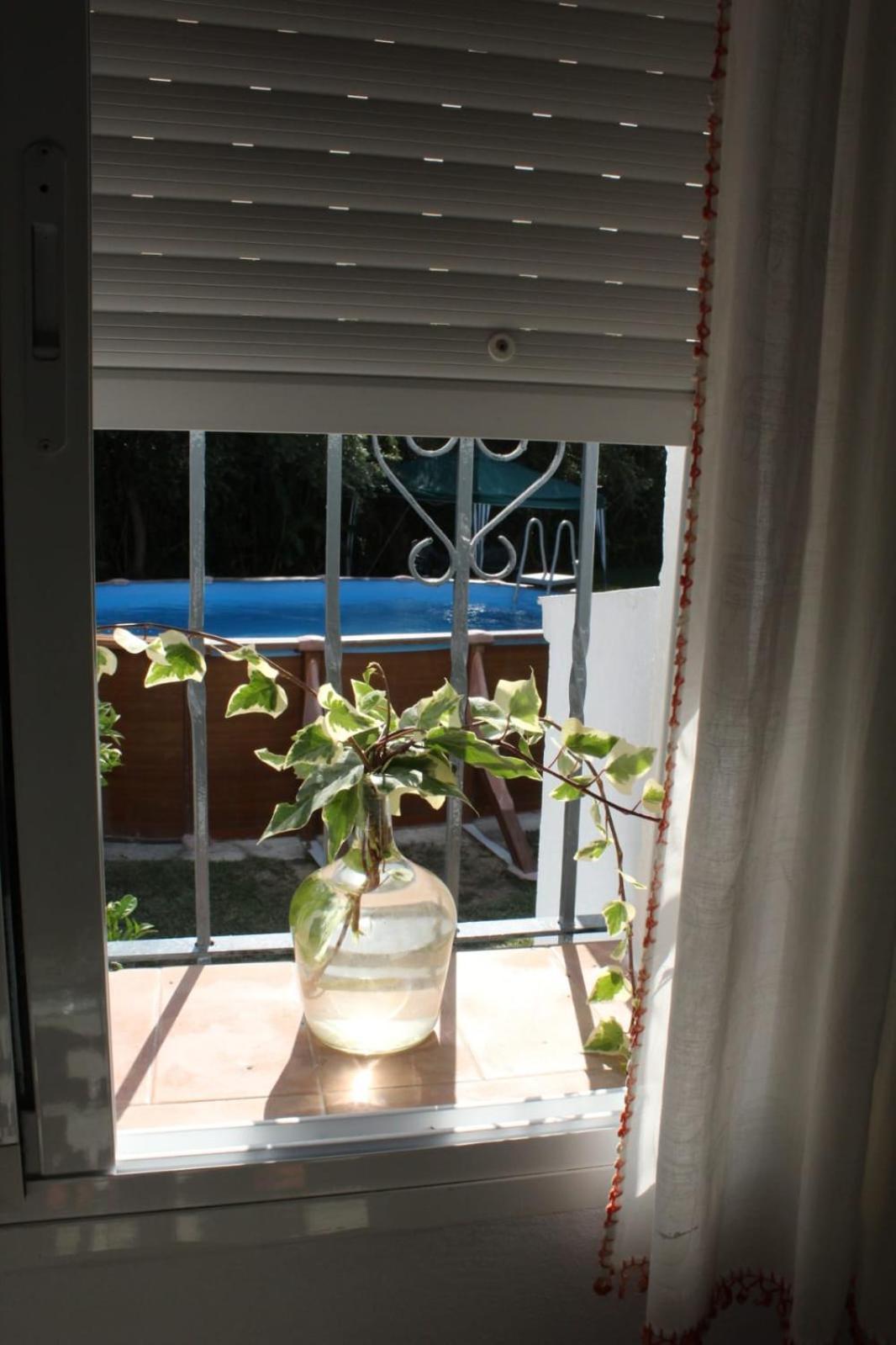 カディス Casa La Macetaヴィラ エクステリア 写真