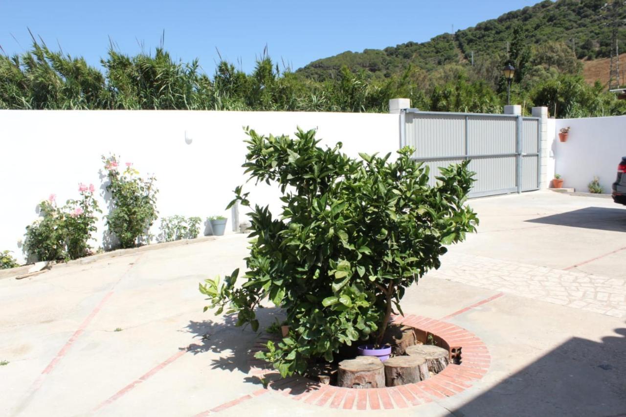 カディス Casa La Macetaヴィラ エクステリア 写真