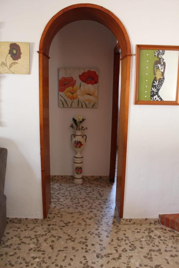 カディス Casa La Macetaヴィラ エクステリア 写真